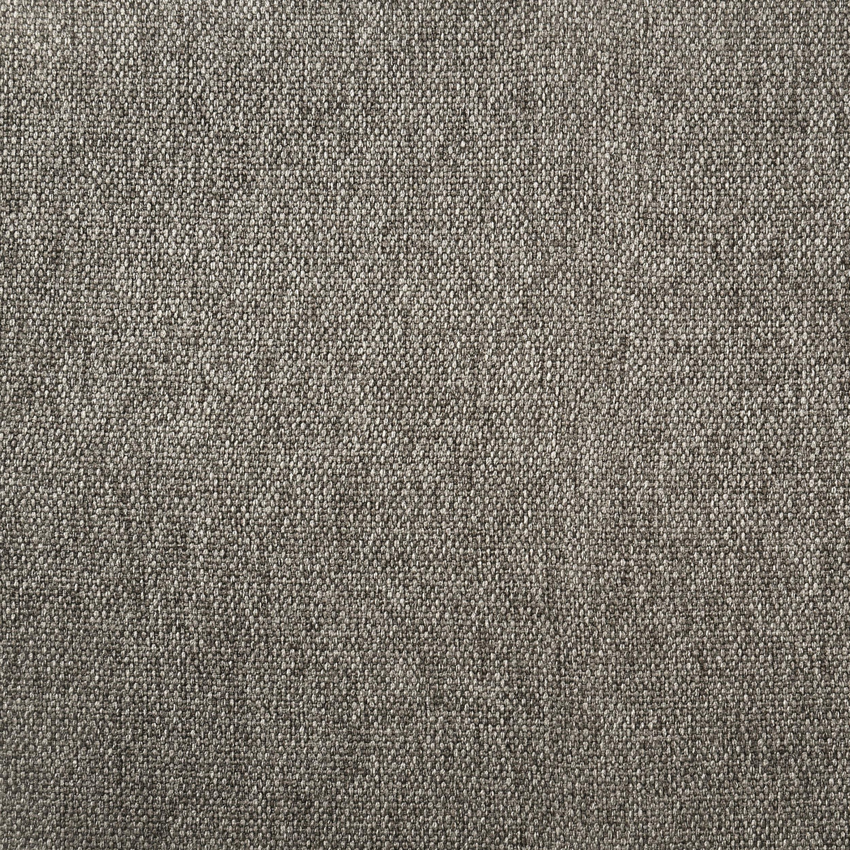 Dorian Taupe Upholstered Twin Panel Bed from Coaster - Luna Furniture