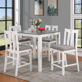Dunseith White/Gray 5 Pc. Counter Ht. Set from Furniture of America - Luna Furniture