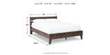 Calverson Mocha Queen Platform Bed from Ashley - Luna Furniture