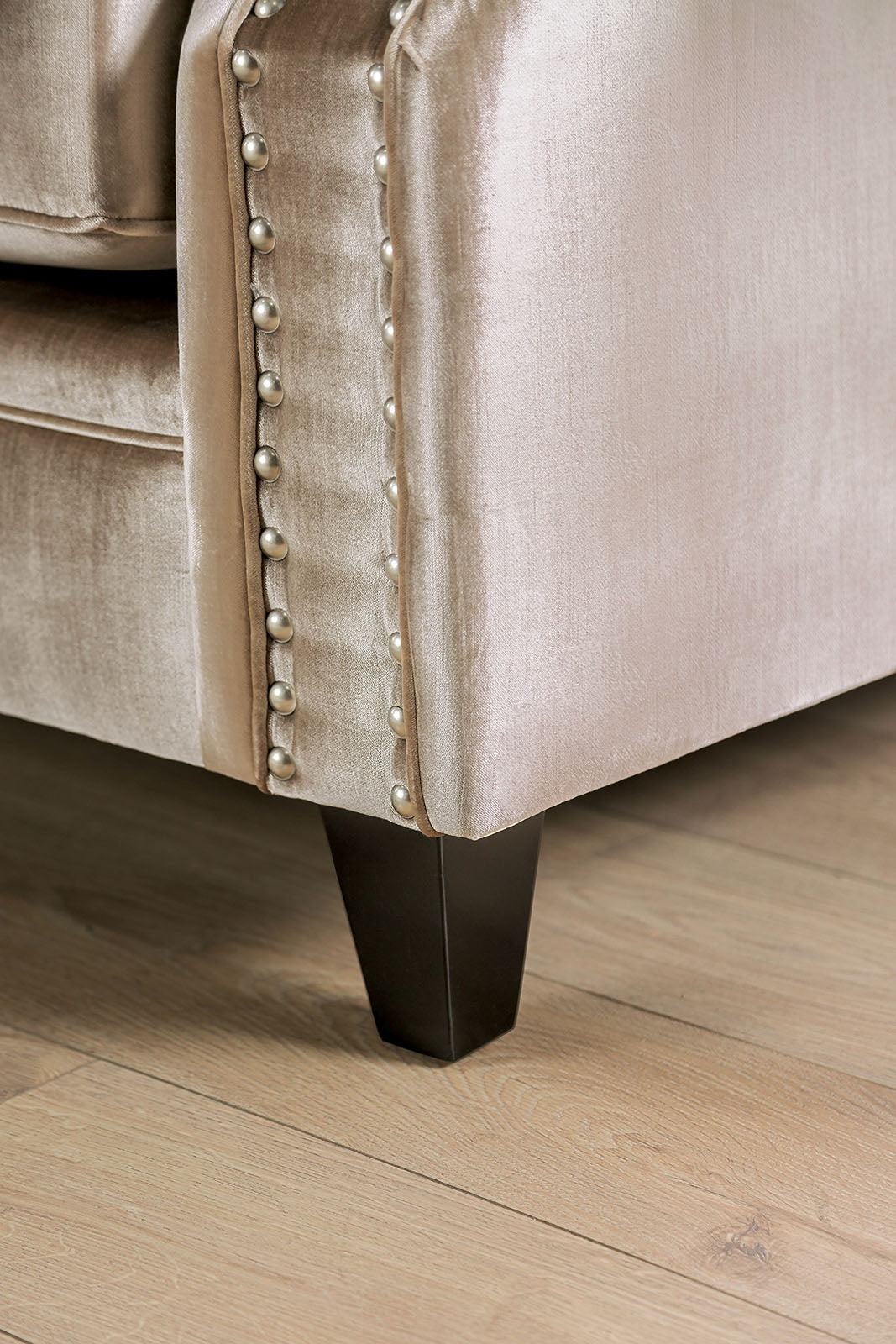 Elicia Champagne/Turquoise Loveseat from Furniture of America - Luna Furniture