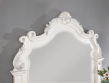 Esparanza Pearl White Mirror (Mirror Only) from Furniture of America - Luna Furniture