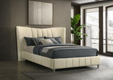 Evelyn Ivory Upholstered Queen Panel Platform Bed from Coaster - Luna Furniture