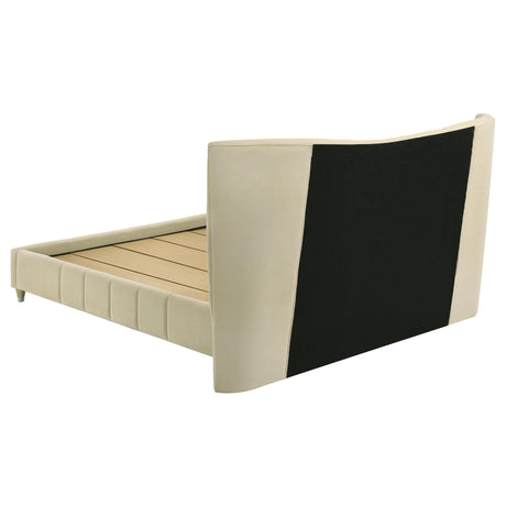Evelyn Ivory Upholstered Queen Panel Platform Bed from Coaster - Luna Furniture