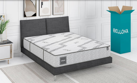 Evolve Antiaging Queen Mattress from Bellona - Luna Furniture