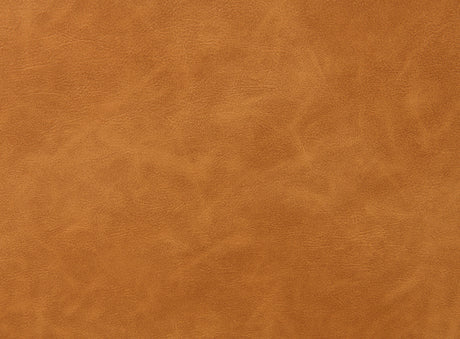 Psyche Brown Pushback Recliner from Furniture of America - Luna Furniture