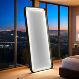 Imogen Black Floor Mirror from Furniture of America - Luna Furniture