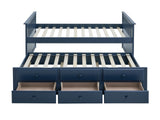 Clemens Midnight Blue Captain Bed from Furniture of America - Luna Furniture