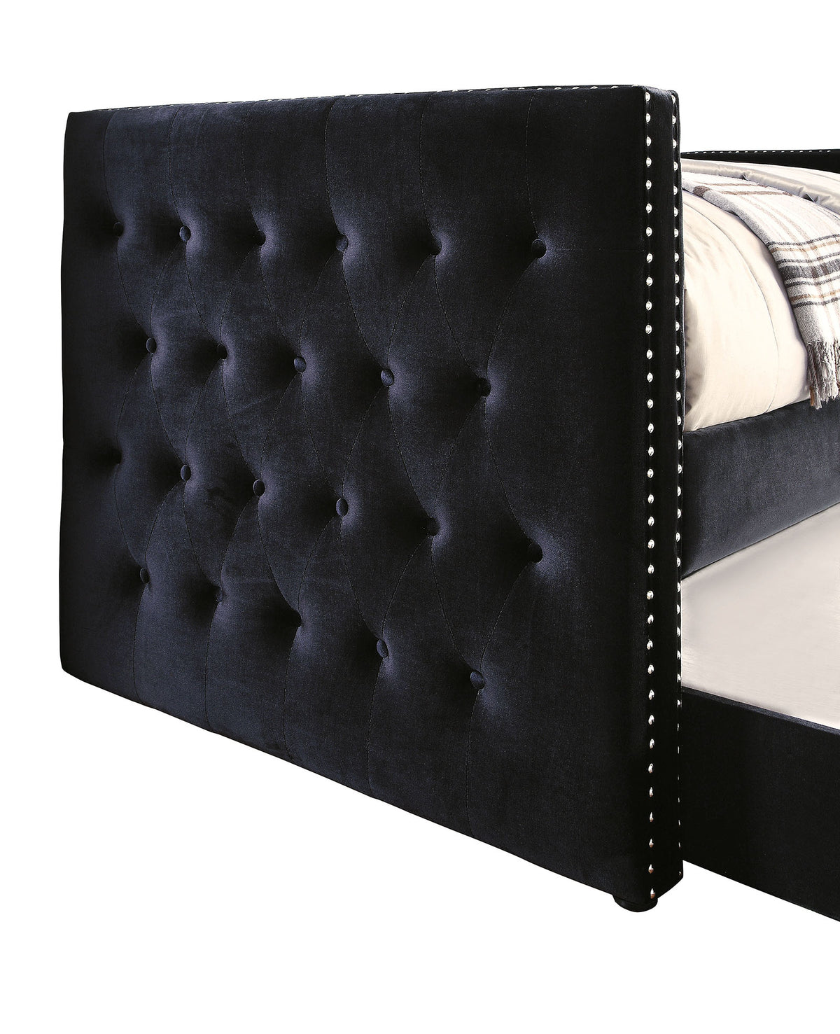 Susanna Black Daybed w/ Trundle from Furniture of America - Luna Furniture