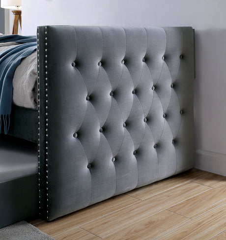 Susanna Gray Daybed with Trundle from Furniture of America - Luna Furniture