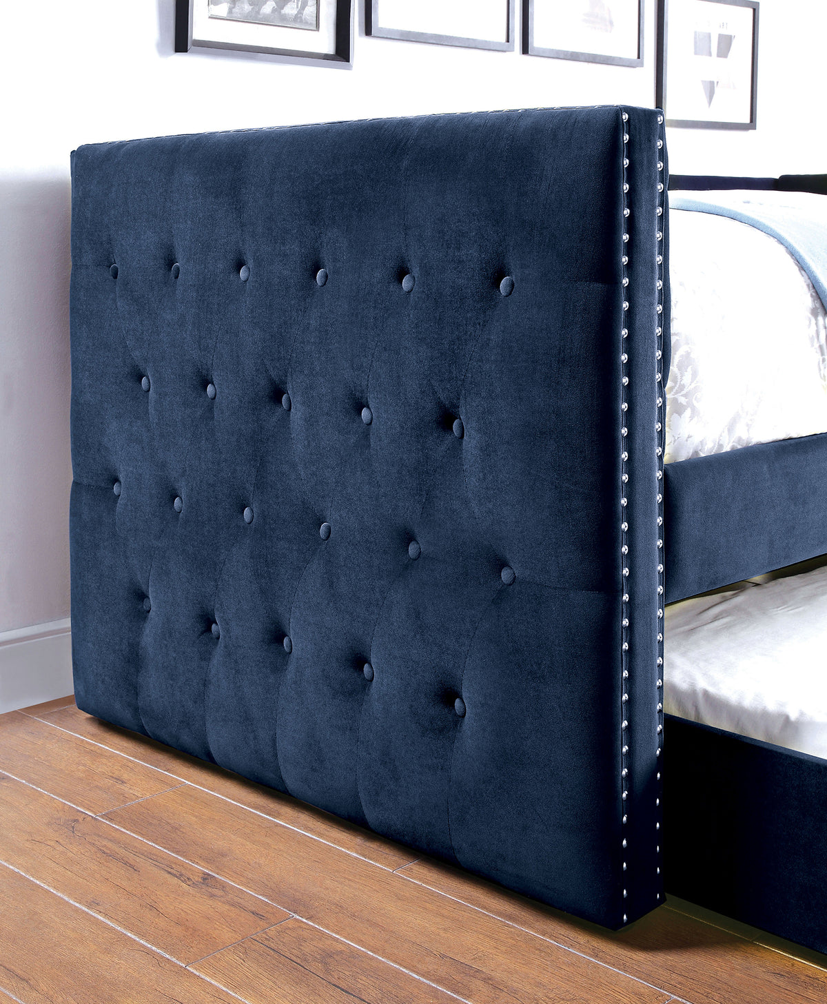 Susanna Navy Daybed w/ Trundle from Furniture of America - Luna Furniture