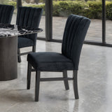Selsey Black Side Chair, Set of 2 from Furniture of America - Luna Furniture