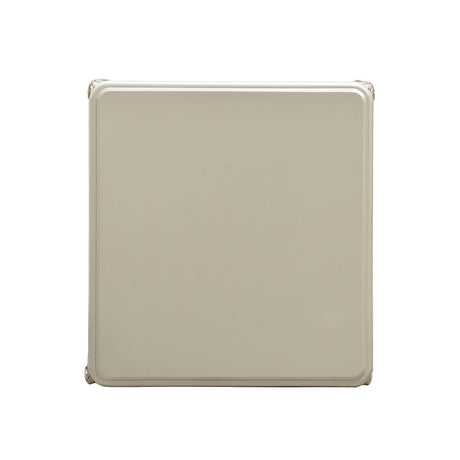 Rochester Champagne End Table from Furniture of America - Luna Furniture