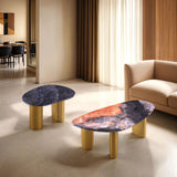Northwich Black/Gray/Matte Gold Coffee Table from Furniture of America - Luna Furniture