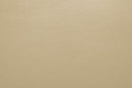 Schlieren Beige Power Sofa from Furniture of America - Luna Furniture
