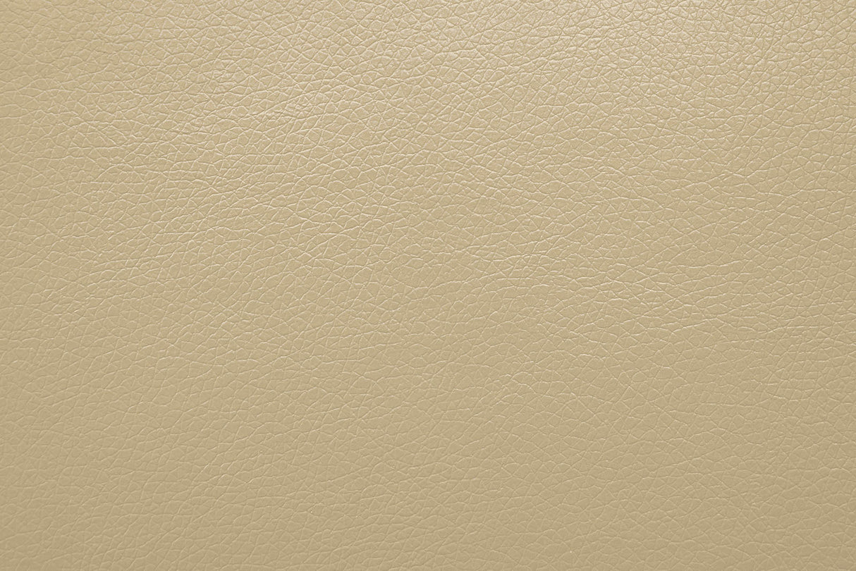 Schlieren Beige Power Loveseat from Furniture of America - Luna Furniture