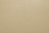 Schlieren Beige Power Loveseat from Furniture of America - Luna Furniture