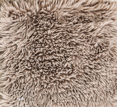 Nappi Taupe Compressed Foam Sofa from Furniture of America - Luna Furniture
