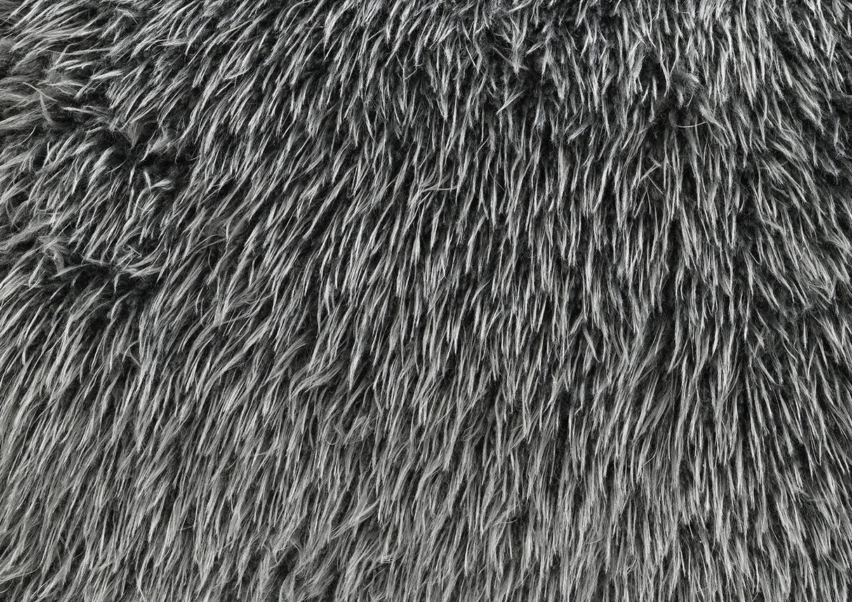 Darwen Dark Gray Loveseat from Furniture of America - Luna Furniture