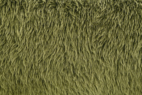 Darwen Green Sofa from Furniture of America - Luna Furniture