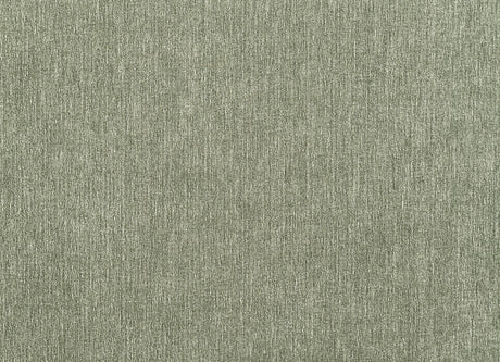 Watton Olive Green Loveseat from Furniture of America - Luna Furniture