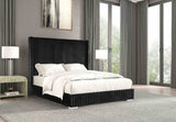 Cadwell Black Twin Bed from Furniture of America - Luna Furniture