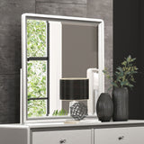 Bryne Champagne Mirror (Mirror Only) from Furniture of America - Luna Furniture