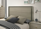 Rainier Gray Bed Queen from Furniture of America - Luna Furniture