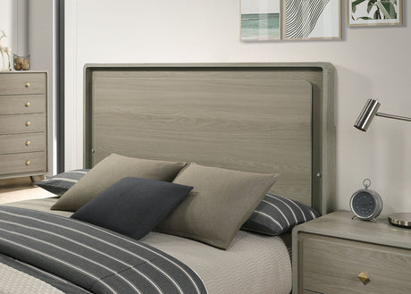 Rainier Gray Queen Bed from Furniture of America - Luna Furniture