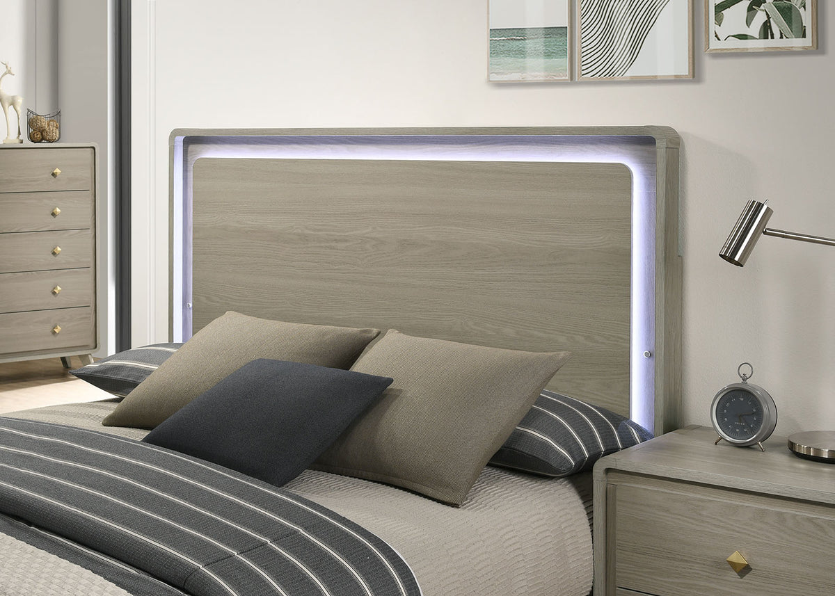 Rainier Gray Bed Queen from Furniture of America - Luna Furniture