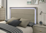 Rainier Gray Bed Queen from Furniture of America - Luna Furniture