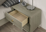 Rainier Gray Nightstand from Furniture of America - Luna Furniture