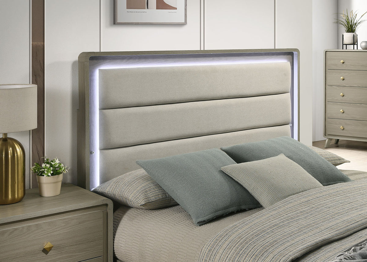 Rainier Gray 4 Pc Queen Bedroom Set from Furniture of America - Luna Furniture