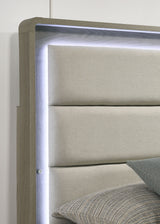 Rainier Gray 4 Pc Queen Bedroom Set from Furniture of America - Luna Furniture