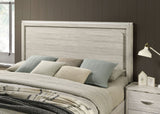 Farsund Dusty Gray 5 Pc Queen Bedroom Set from Furniture of America - Luna Furniture