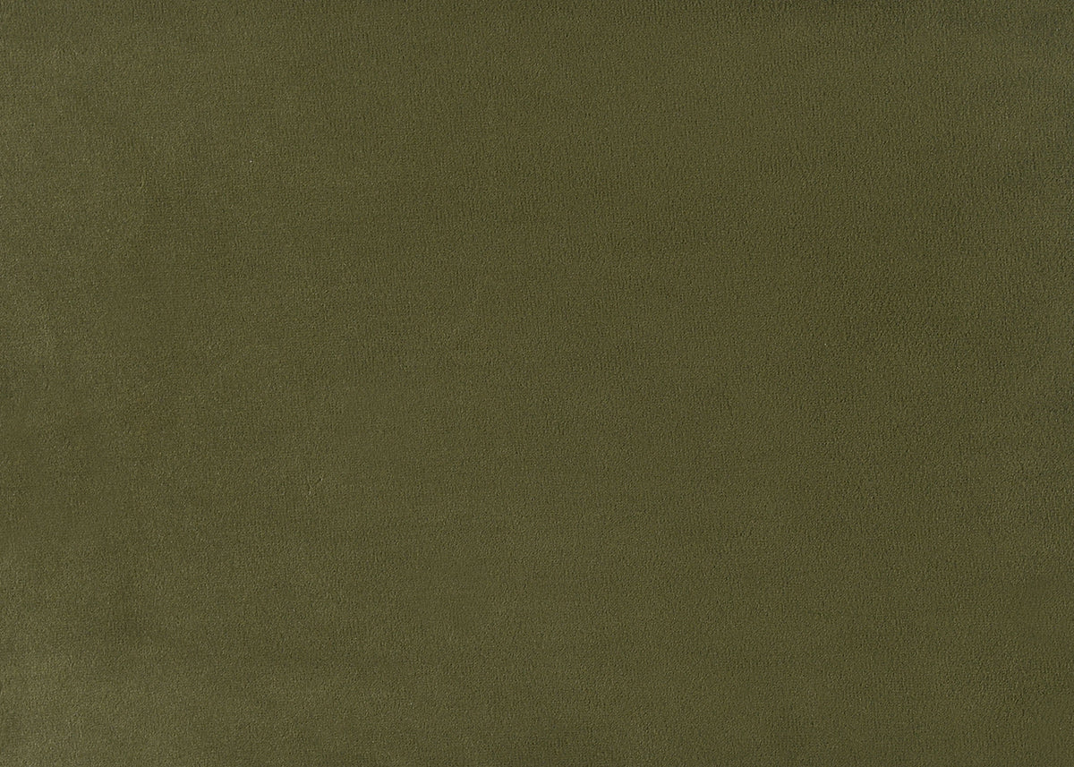 Grimsby Olive Green Bed Queen from Furniture of America - Luna Furniture