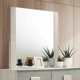 Lincolt White Wash/Stone Gray 5 Pc Queen Bedroom Set from Furniture of America - Luna Furniture