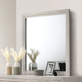 Mysen White Wash Mirror (Mirror Only) from Furniture of America - Luna Furniture
