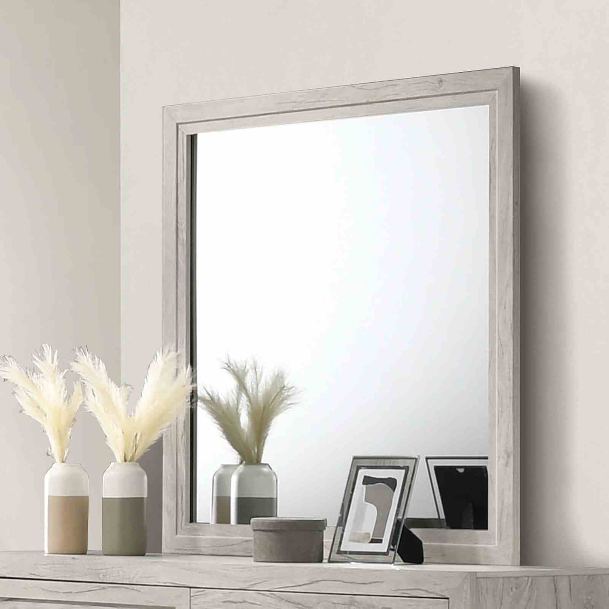 Mysen White Wash Mirror (Mirror Only) from Furniture of America - Luna Furniture