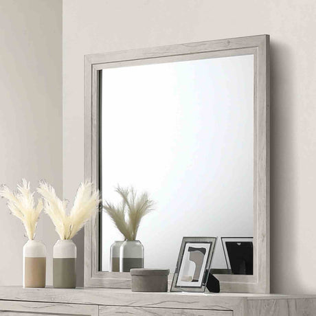 Mysen White Wash Mirror (Mirror Only) from Furniture of America - Luna Furniture