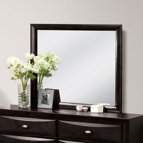 Zosimo Black Mirror (Mirror Only) from Furniture of America - Luna Furniture