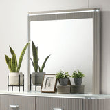 Aldridge Light Gray Mirror (Mirror Only) from Furniture of America - Luna Furniture