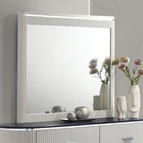Aldgate Light Gray Mirror (Mirror Only) from Furniture of America - Luna Furniture