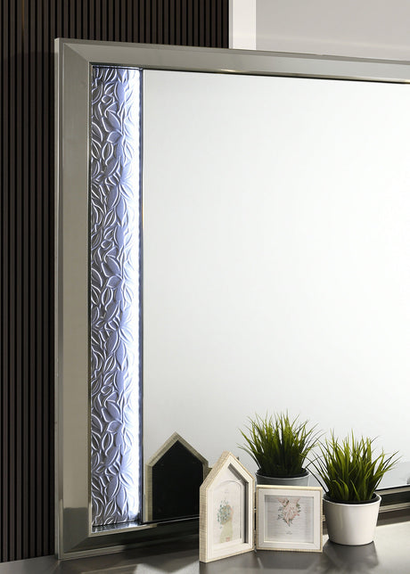 Leyland Dark Gray Mirror (Mirror Only) from Furniture of America - Luna Furniture