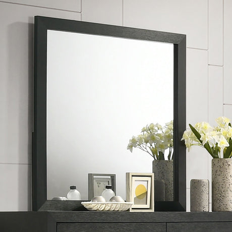 Latimer Black Mirror (Mirror Only) from Furniture of America - Luna Furniture