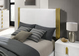 Basildon White/Gold, Dark Brown Queen Bed from Furniture of America - Luna Furniture