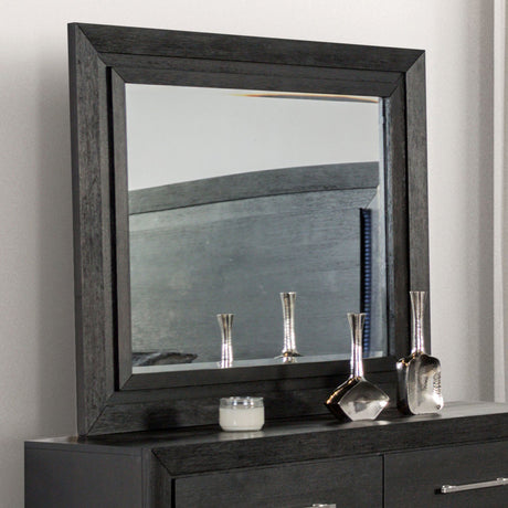 Ashbourne Black Mirror (Mirror Only) from Furniture of America - Luna Furniture