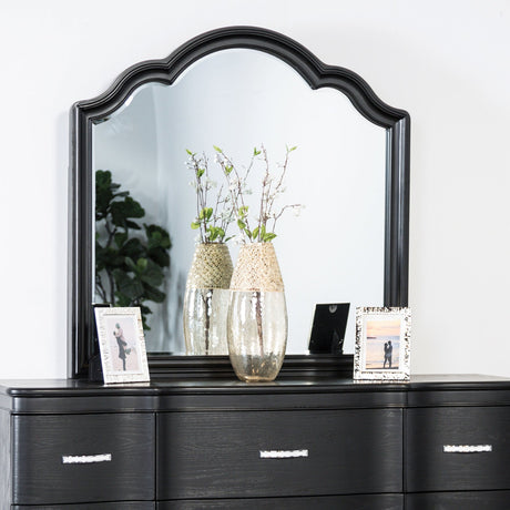 Melodi Parc Black Mirror (Mirror Only) from Furniture of America - Luna Furniture