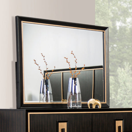 Kenyada Espresso Mirror (Mirror Only) from Furniture of America - Luna Furniture