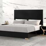Goldsberg Black Queen Panel Bed from Furniture of America - Luna Furniture