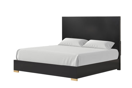 Goldsberg Black Queen Panel Bed from Furniture of America - Luna Furniture